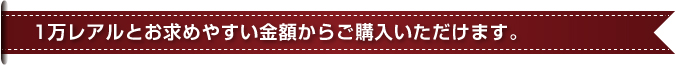 1万レアルとお求めやすい金額からご購入いただけます。